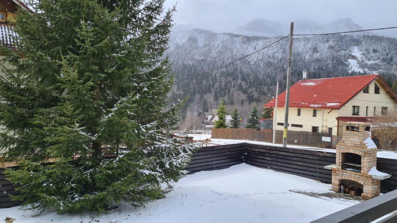 Nordic Chalet Sinaia Exterior photo